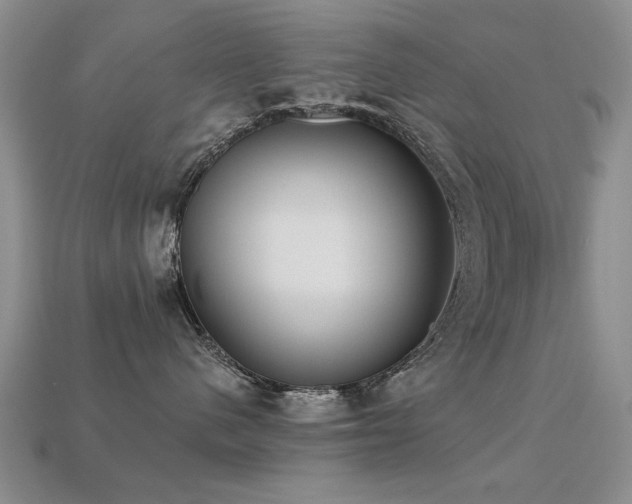 X0000113230480200909101215
