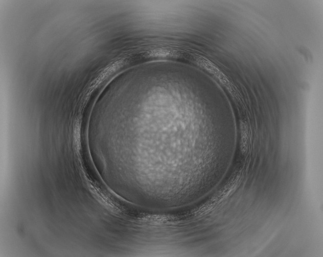 X0000113230482200909101214