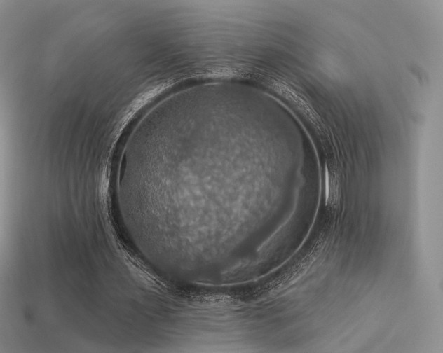 X0000113230483200909101214