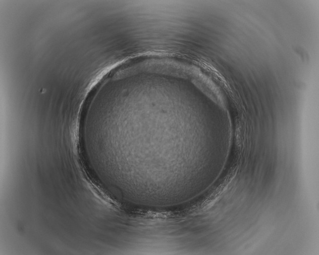 X0000113230484200909101214