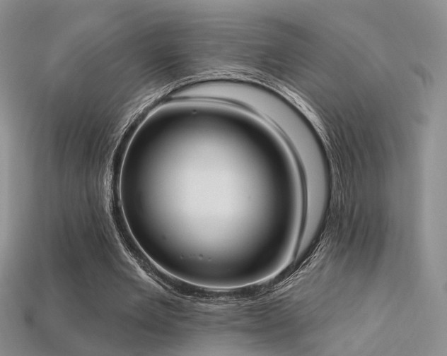 X0000113230485200909101214