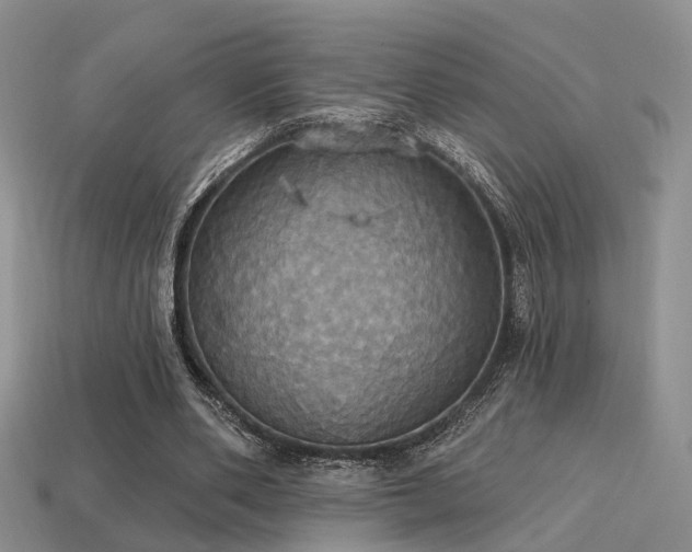 X0000113230486200909101214