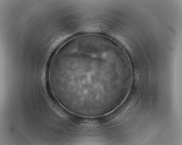 X0000113230487200909101214