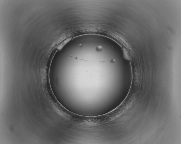 X0000113230489200909101214