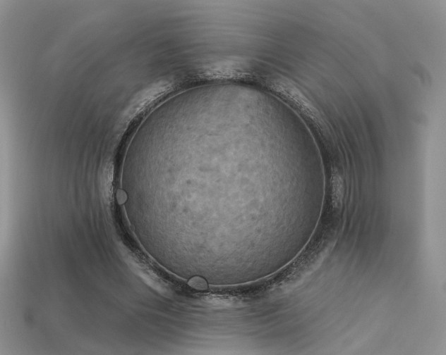 X0000113230490200909101214