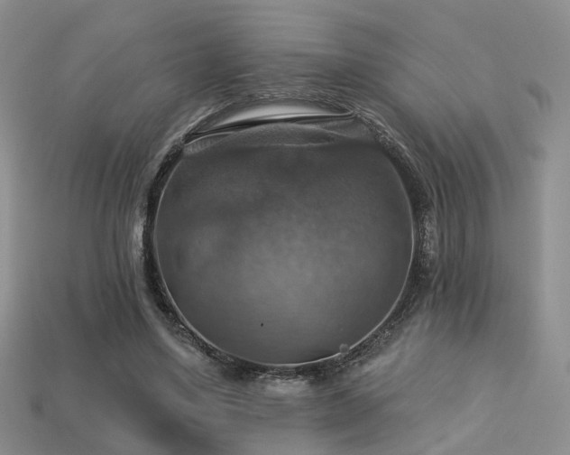 X0000113230491200909101214