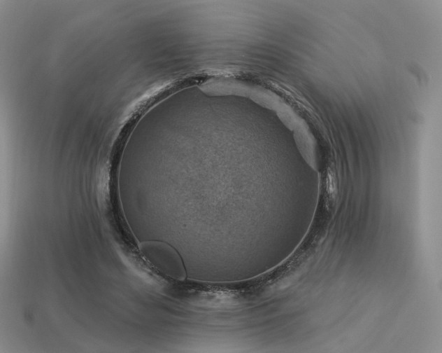 X0000113230492200909101214