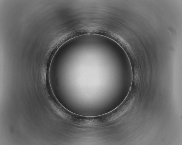 X0000113230493200909101214