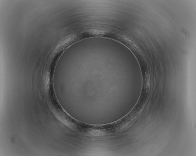 X0000113230494200909101214
