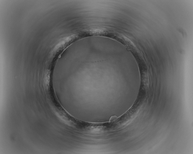 X0000113230495200909101214