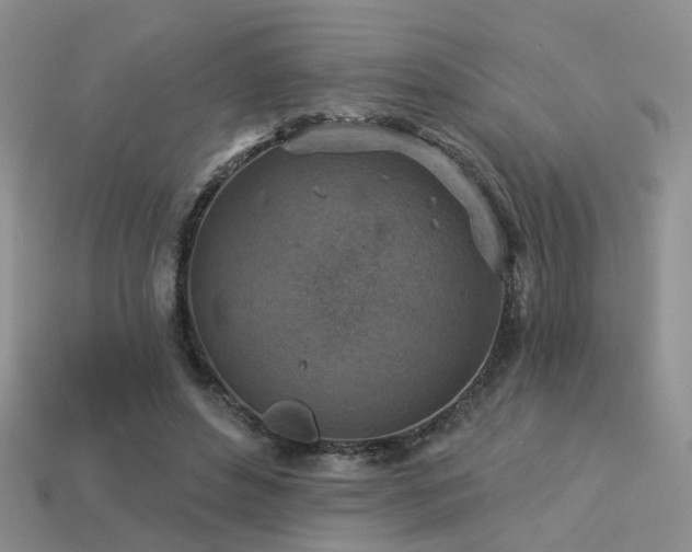 X0000113230496200909101214