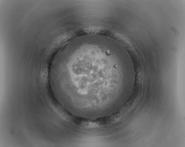 X0000113230498200909101214
