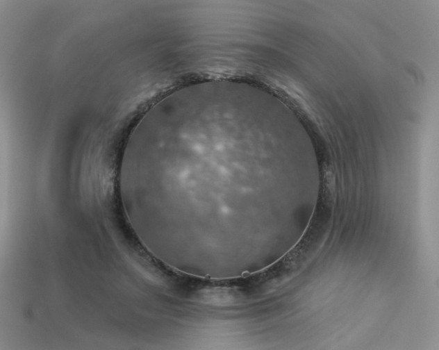 X0000113230499200909101214