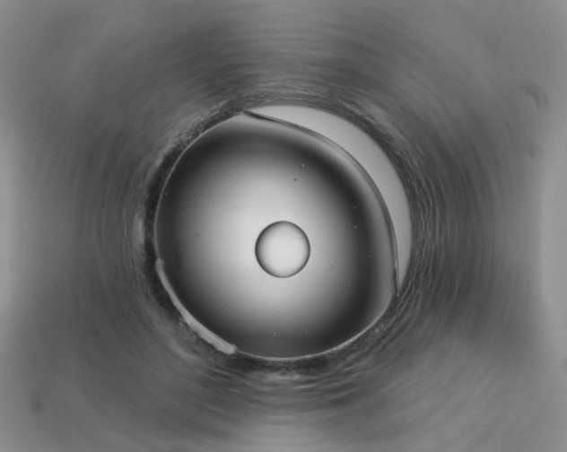 X0000113230500200909101214