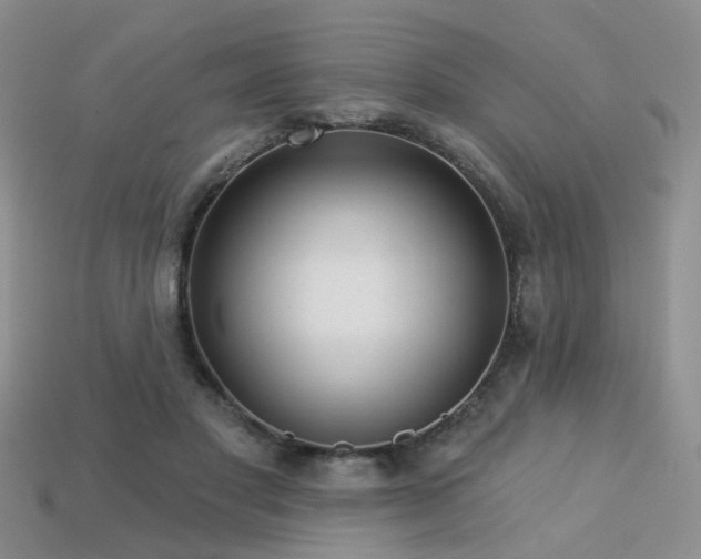 X0000113230501200909101214