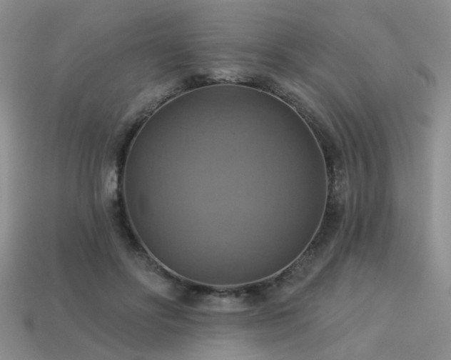 X0000113230502200909101214