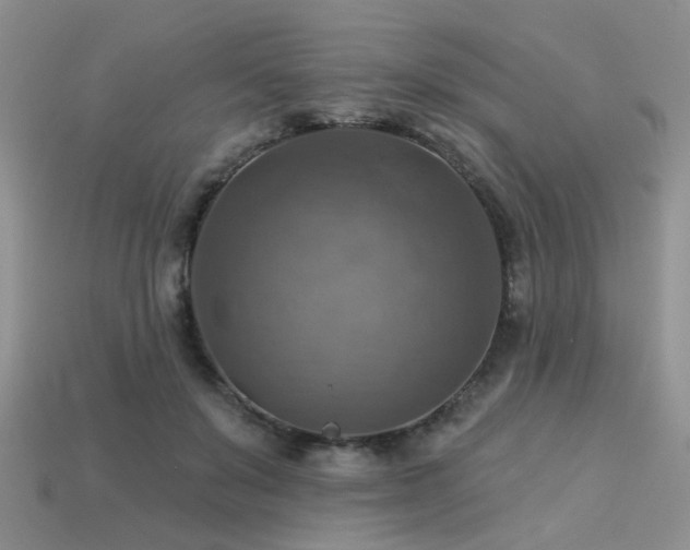 X0000113230503200909101214