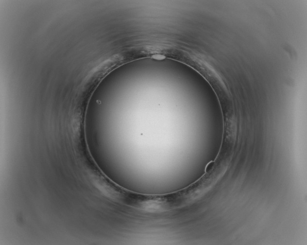 X0000113230505200909101214