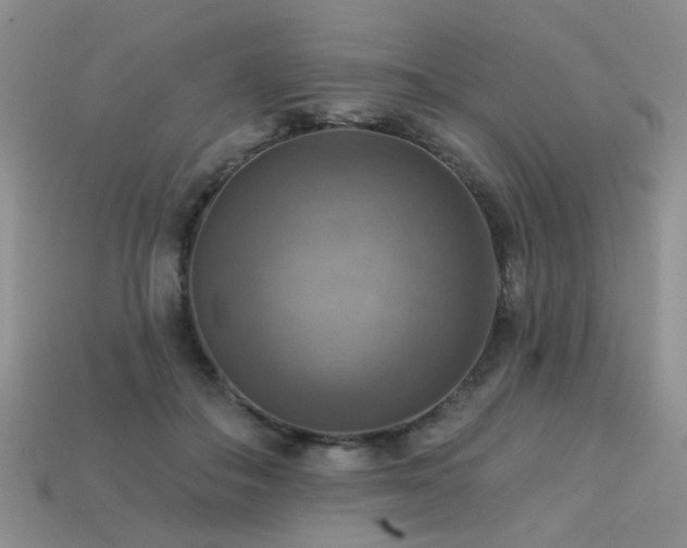 X0000113230506200909101214