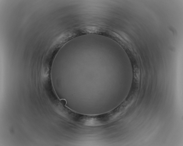 X0000113230507200909101214