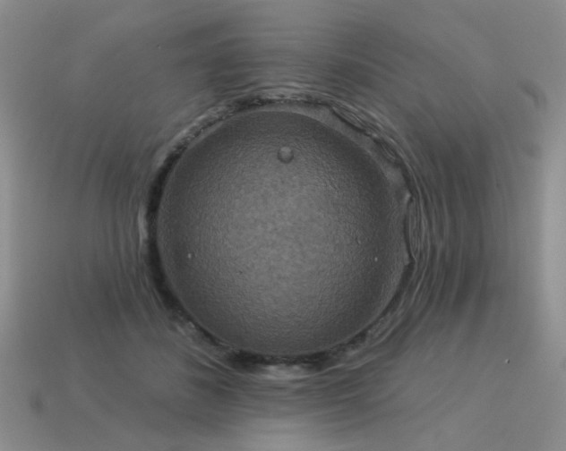 X0000113230508200909101214