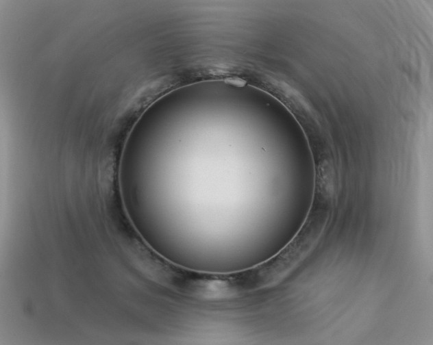 X0000113230509200909101214