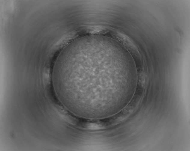 X0000113230510200909101214