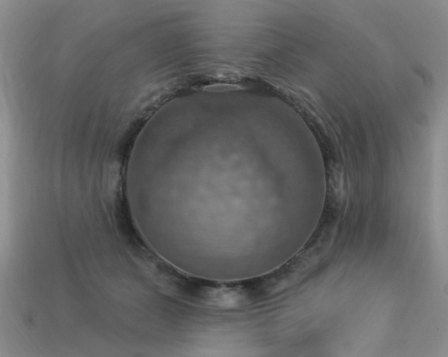 X0000113230511200909101214