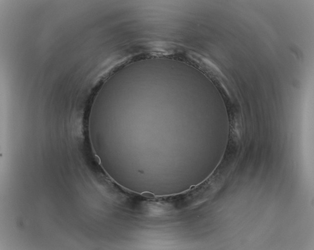 X0000113230512200909101214