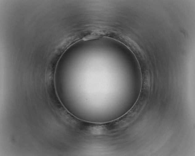 X0000113230513200909101214