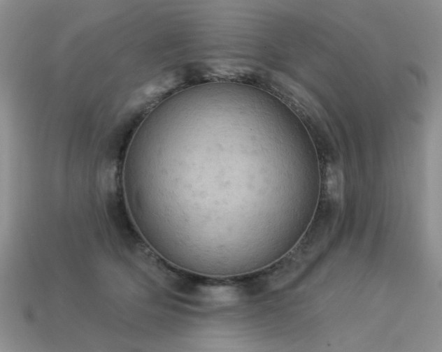 X0000113230514200909101214