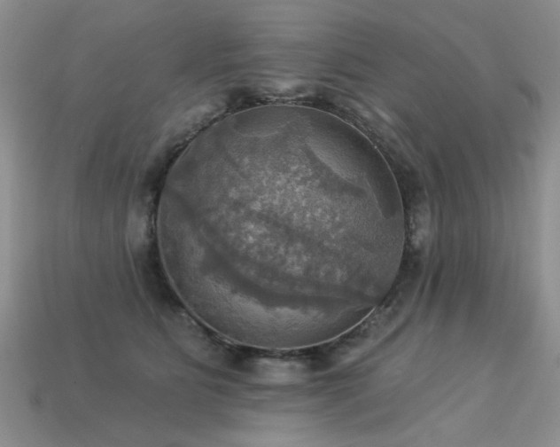 X0000113230515200909101214