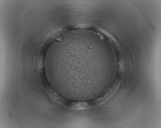 X0000113230517200909101214