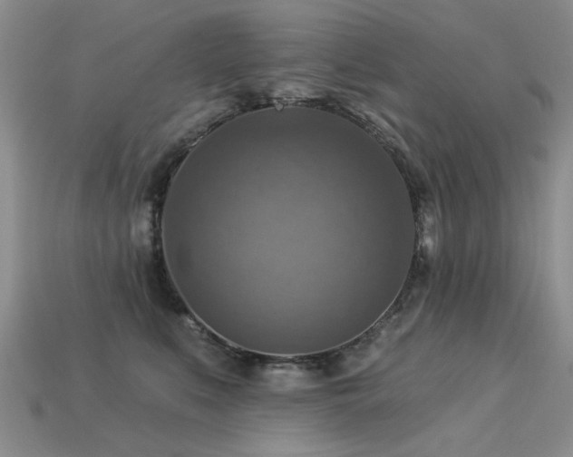X0000113230519200909101214