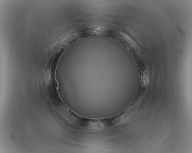 X0000113230520200909101214