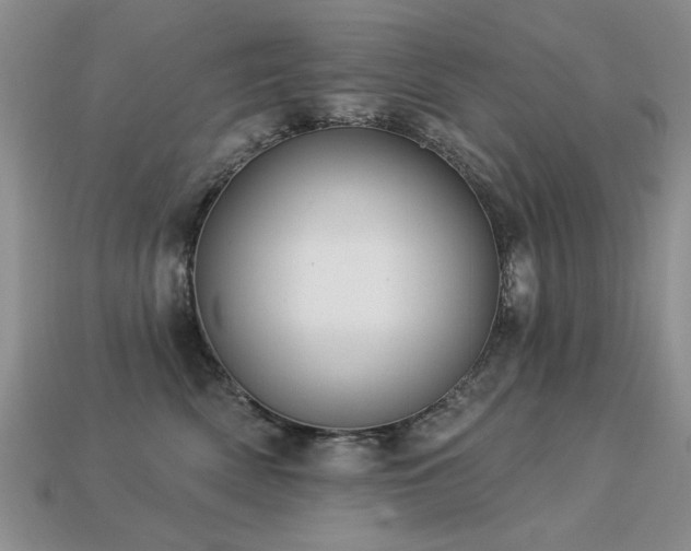 X0000113230522200909101214