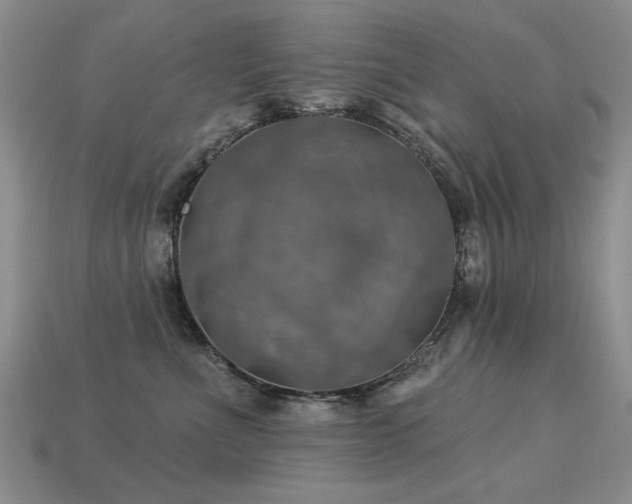 X0000113230523200909101214