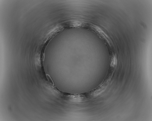 X0000113230524200909101214