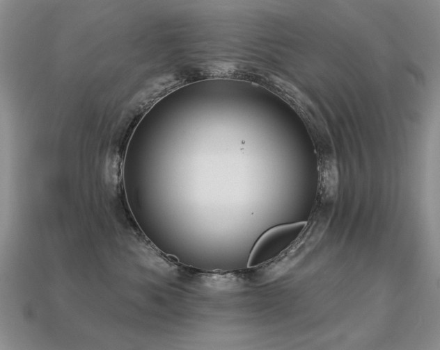 X0000113230525200909101214