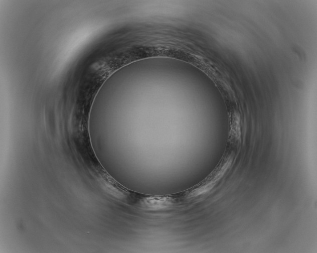 X0000113230526200909101214