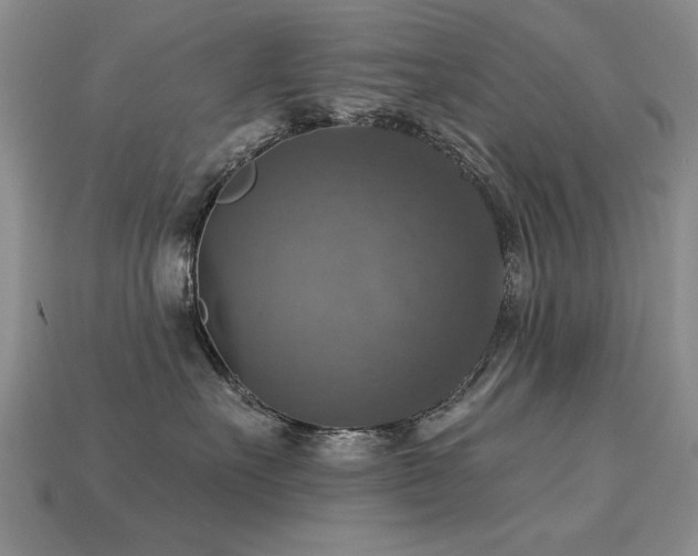 X0000113230527200909101214