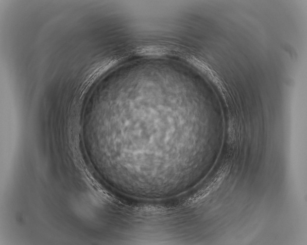 X0000113230529200909101213