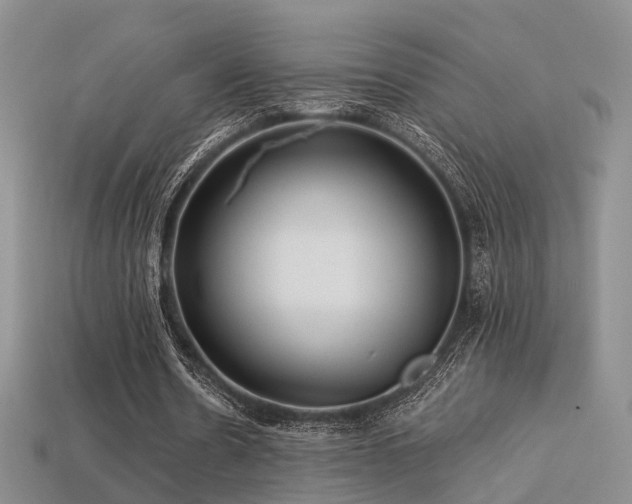 X0000113230530200909101213