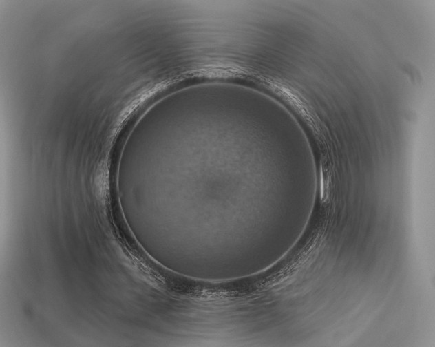 X0000113230531200909101213