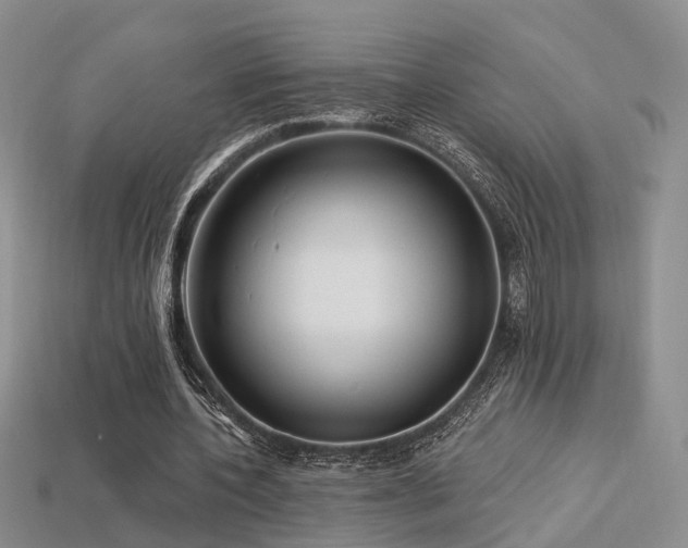 X0000113230532200909101213