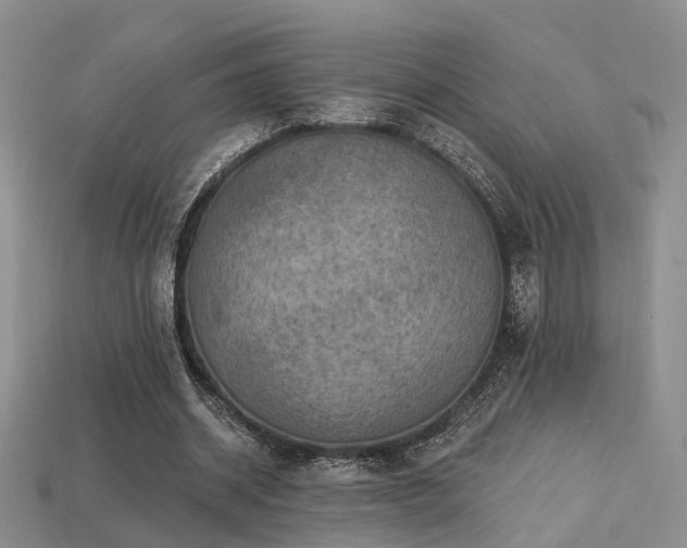 X0000113230534200909101213