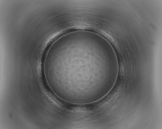 X0000113230535200909101213
