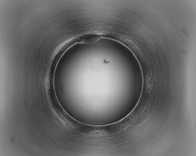 X0000113230536200909101213