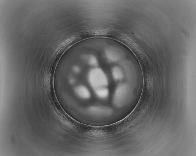 X0000113230537200909101213
