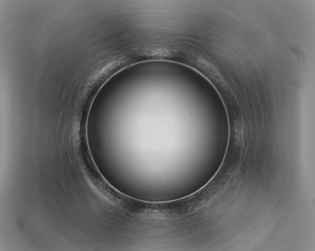 X0000113230538200909101213